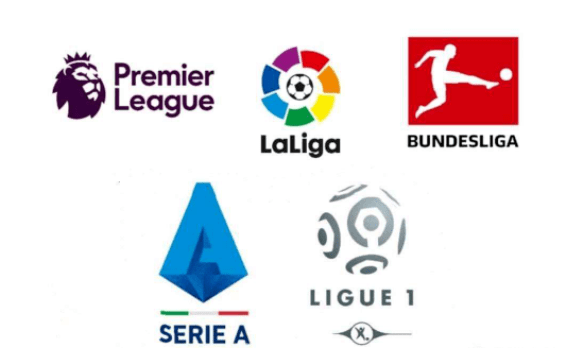 并根据实际 并根据实际